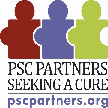 logo PSCPartners 2016